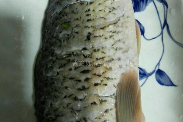 红烧鲤鱼的做法图解2