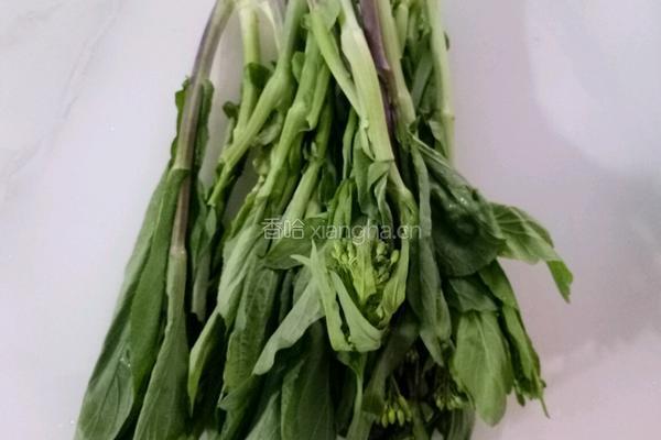 清炒白油菜薹的做法图解1