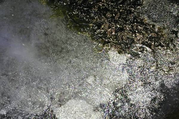 紫菜淡汤的做法图解4