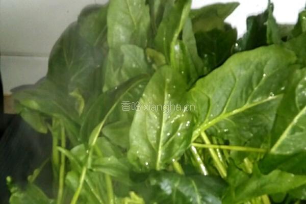 卤肉菠菜的做法图解3