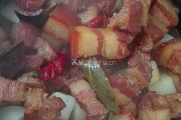 秘制红烧肉的做法图解12