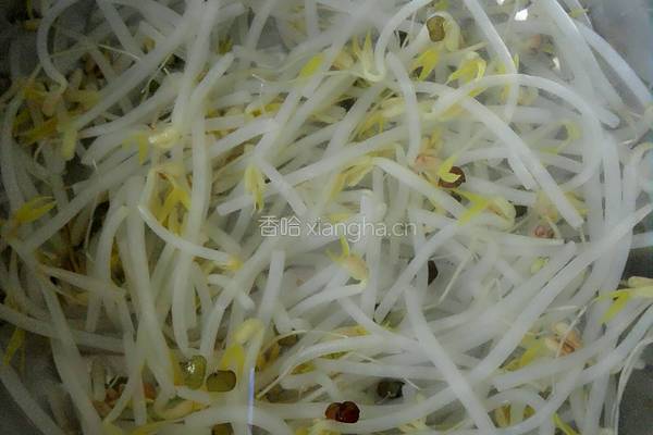 凉拌黄瓜豆芽的做法图解2