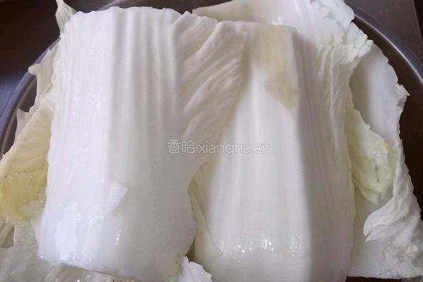 酸辣白菜的做法图解1