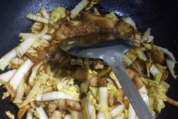 白菜粉条的做法图解5