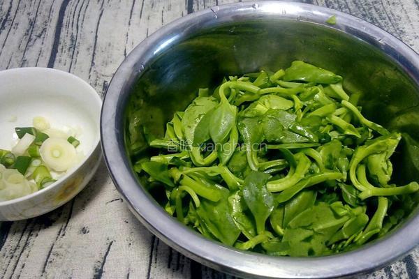 穿心莲炒肉的做法图解2