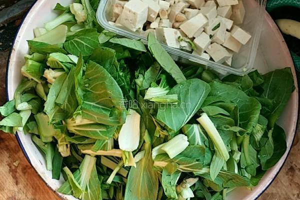 麻辣豆腐的做法图解3