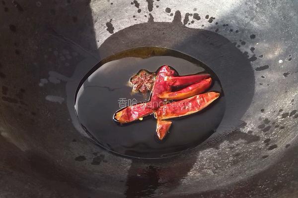 土豆炖豆角的做法图解4