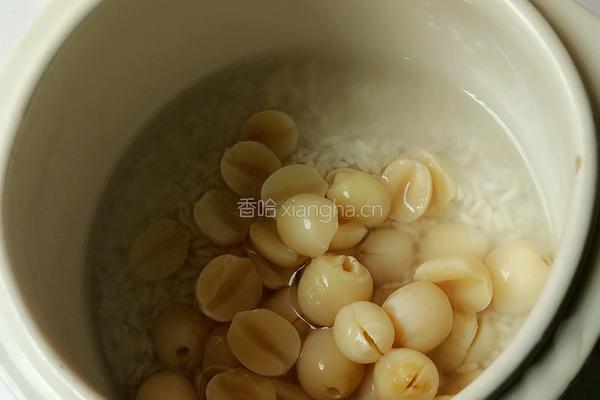 莲子糯米粥的做法图解4