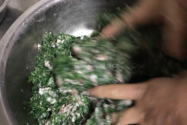 地菜春卷的做法图解5