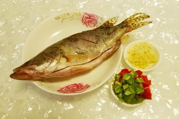 茄汁桂鱼的做法图解1