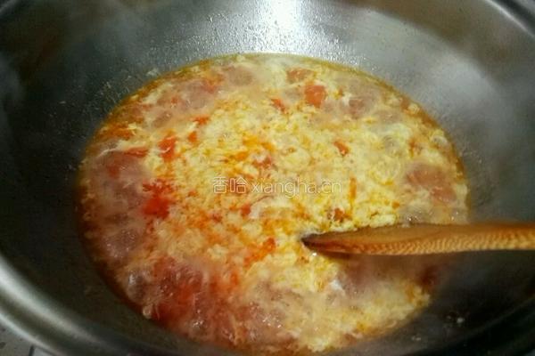 蕃茄鸡蛋羹的做法图解7