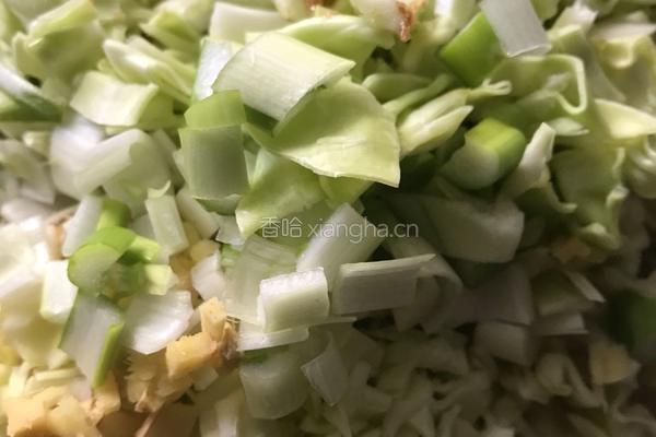卷心菜水饺的做法图解3