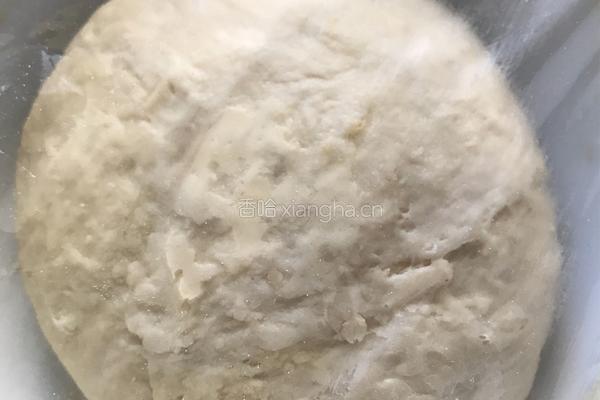 卷心菜水饺的做法图解4