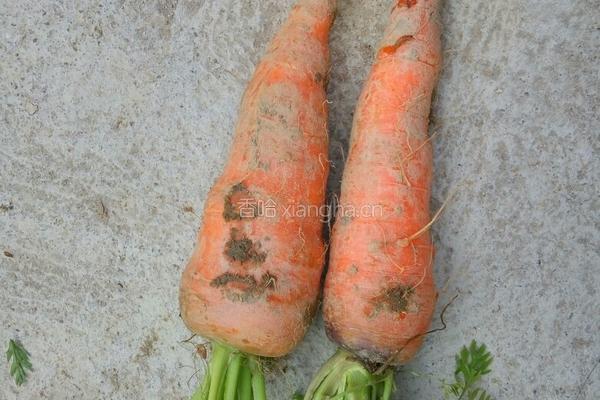 荷兰豆胡萝卜炒腊肠的做法图解1