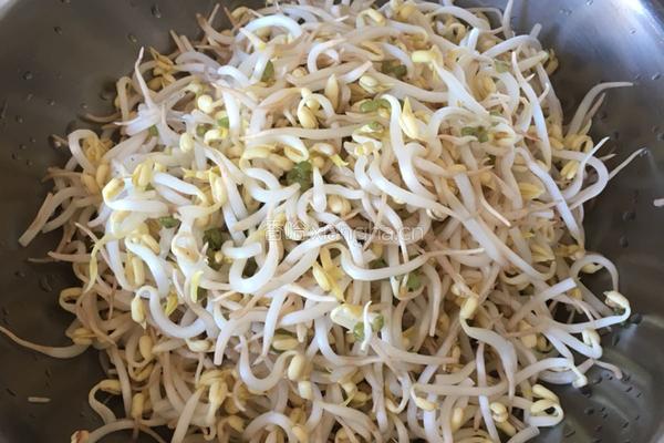 醋溜豆芽的做法图解1