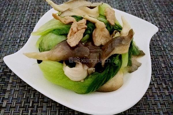 鲜蘑油菜小炒肉的做法图解14