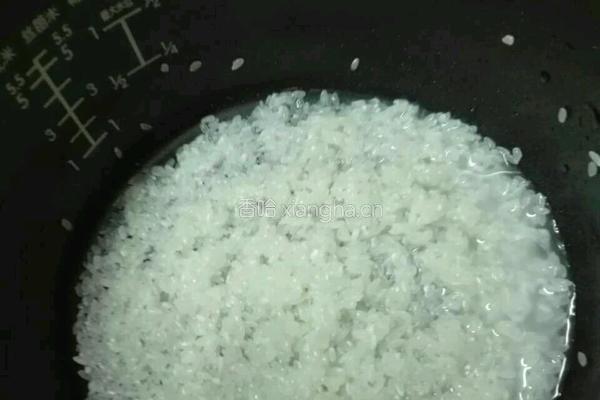 白粥的做法图解3