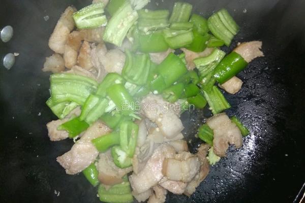 青椒炒肉的做法图解6