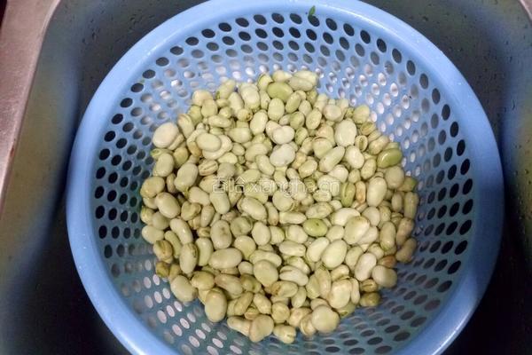 蒜苗回锅蚕豆的做法图解1