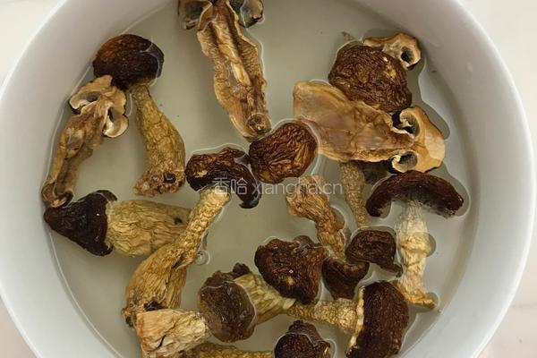 烤松茸的做法图解2