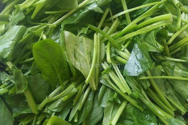 凉拌银耳菠菜的做法图解1