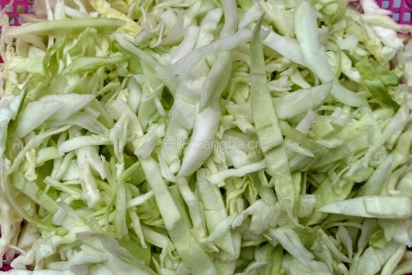 粉丝炒卷心菜的做法图解1
