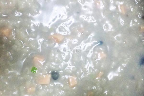 新版皮蛋瘦肉粥的做法图解7