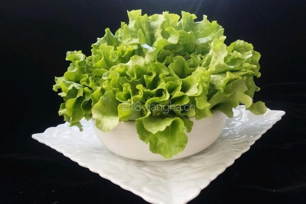 蘸汁生菜的做法图解4