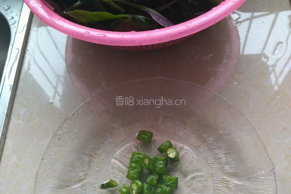 辣椒炒紫背菜的做法图解3