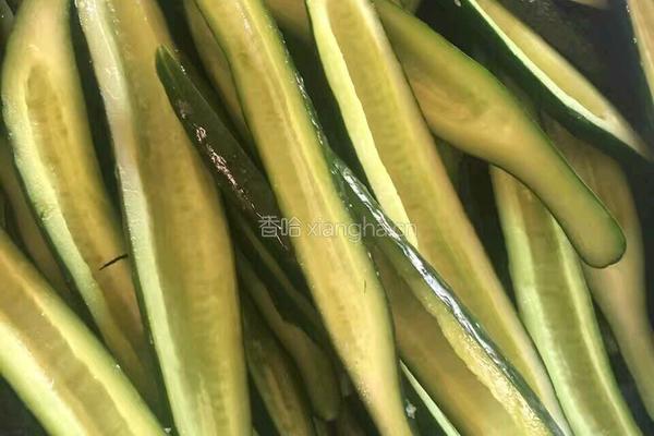 泡黄瓜的做法图解1