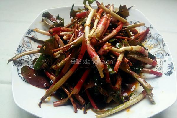 凉拌鱼腥草的做法图解1
