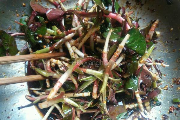 凉拌鱼腥草的做法图解5
