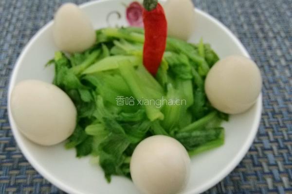 香哈鸟巢的做法图解7