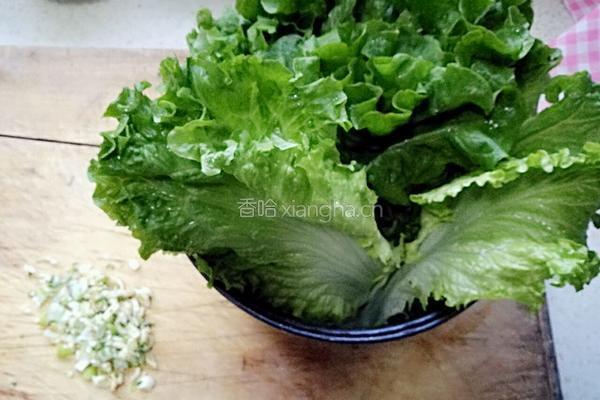 耗油生菜的做法图解1