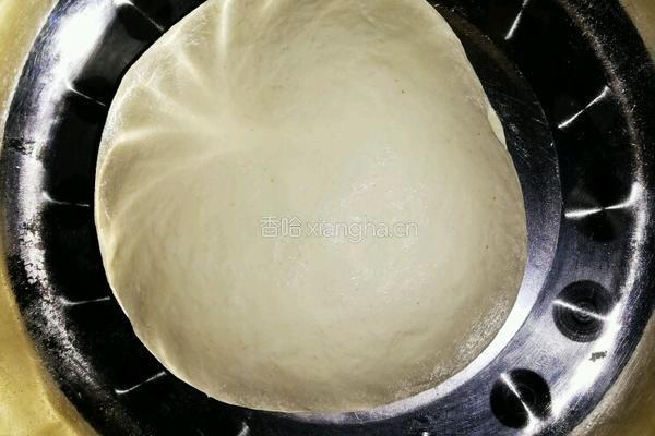 鸢都肉饼的做法图解6