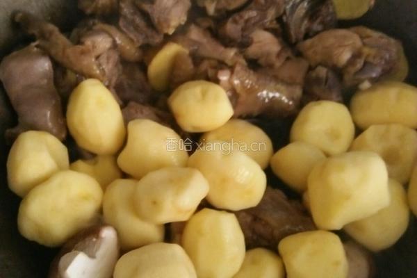 小土豆焖鸡的做法图解6