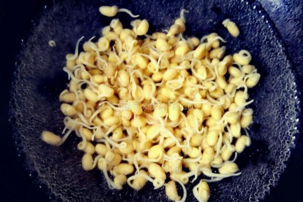 凉拌小黄豆芽的做法图解3