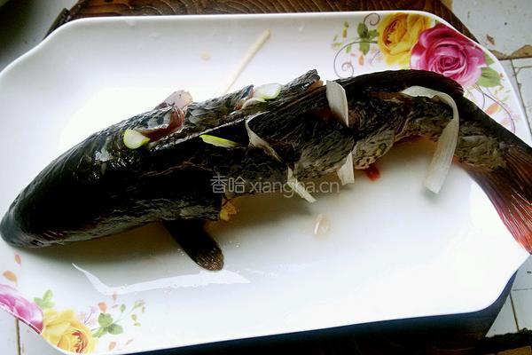 蒸跳水鲤鱼的做法图解5