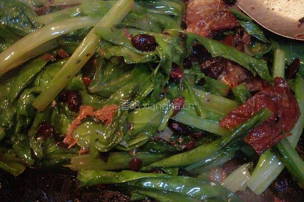 豆豉鲮鱼油麦菜的做法图解9