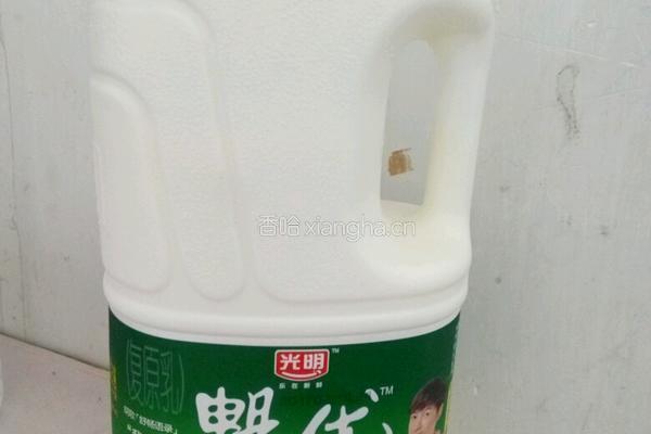 蘋果酸奶減肥沙拉的做法图解3