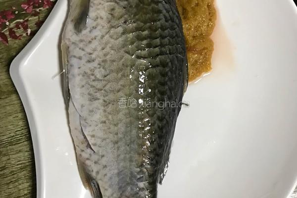 鲫鱼萝卜丝汤的做法图解1
