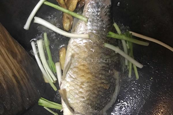 鲫鱼萝卜丝汤的做法图解5