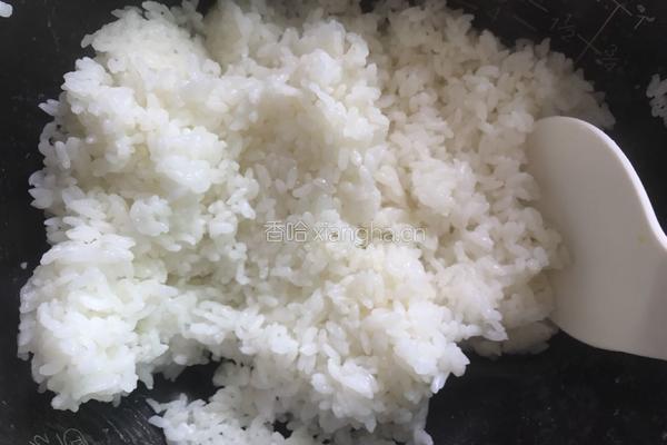 菠萝虾仁蛋炒饭的做法图解8