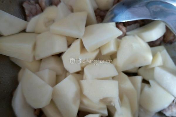 牛肉炖土豆的做法图解4