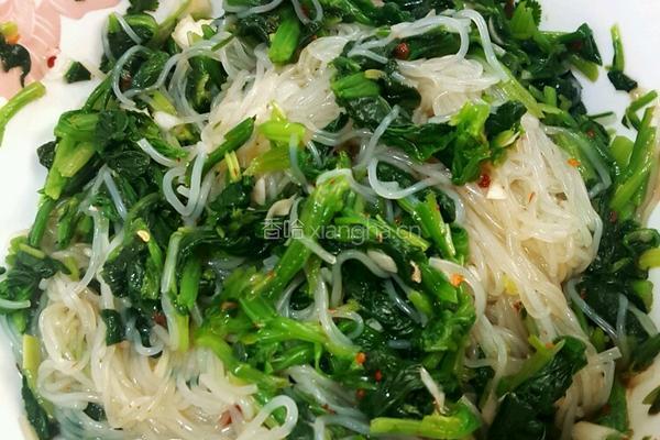 菠菜拌粉丝