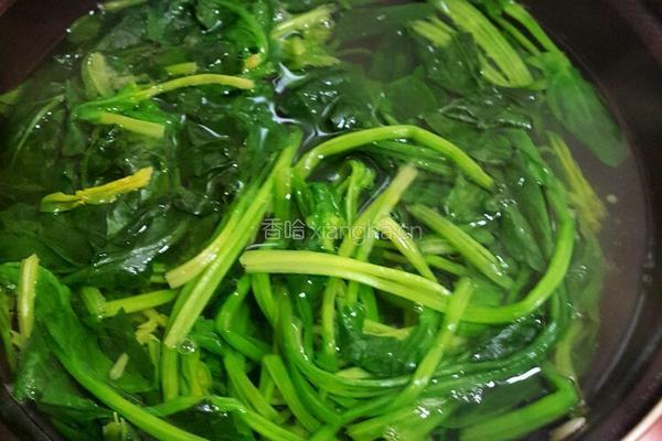 菠菜拌粉丝的做法图解1