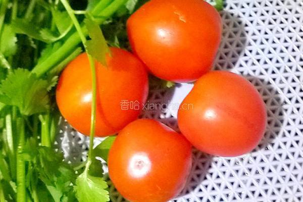 番茄瘦肉鲜汤的做法图解1