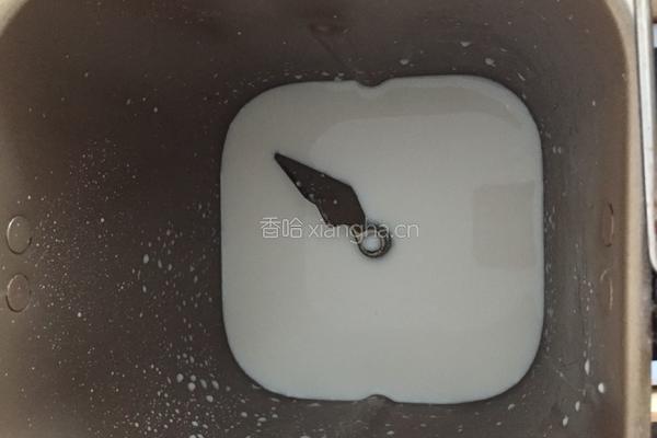 纯牛奶土司&椰蓉土司的做法图解1