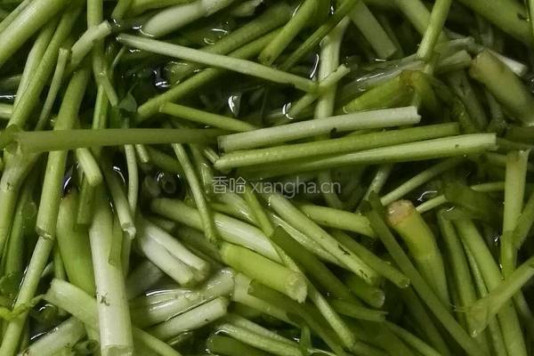 凉拌水芹的做法图解1
