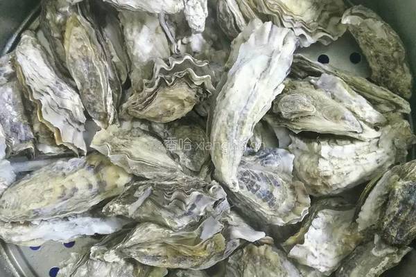 清蒸生蚝的做法图解3